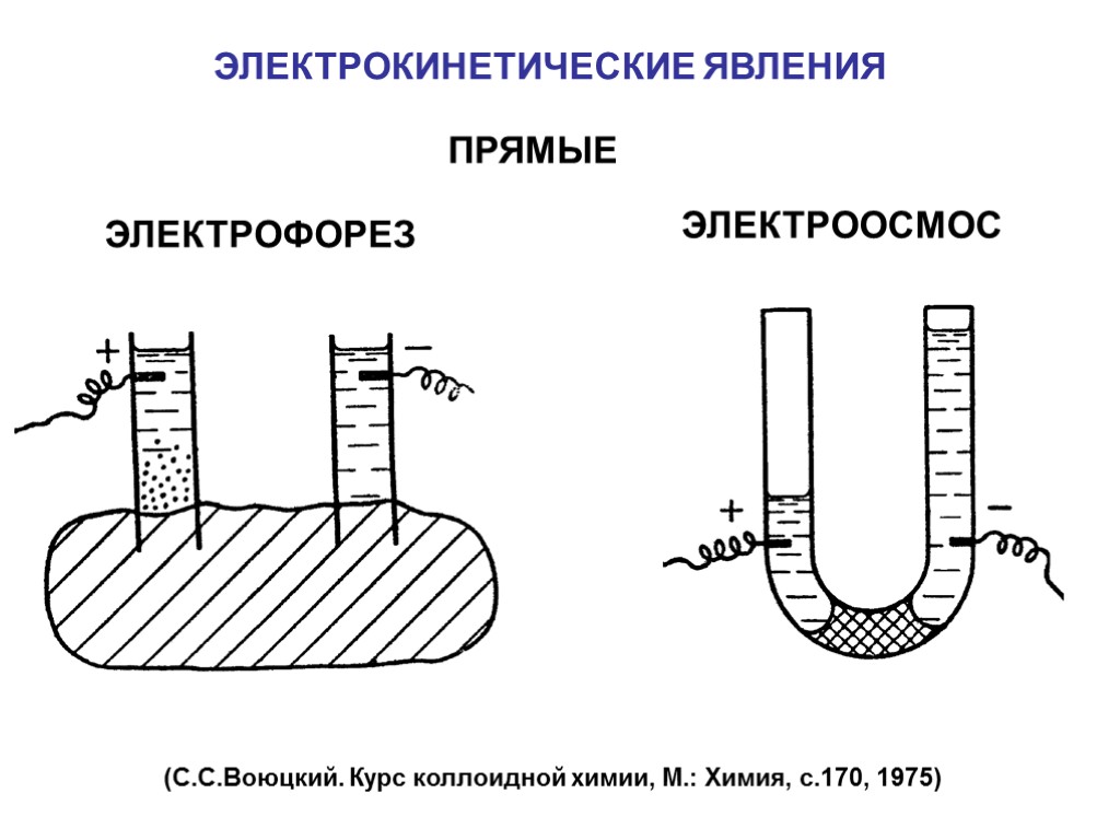 ЭЛЕКТРОКИНЕТИЧЕСКИЕ ЯВЛЕНИЯ ЭЛEКТРОФОРЕЗ ЭЛЕКТРООСМОС ПРЯМЫЕ (С.С.Воюцкий. Курс коллоидной химии, М.: Химия, с.170, 1975)